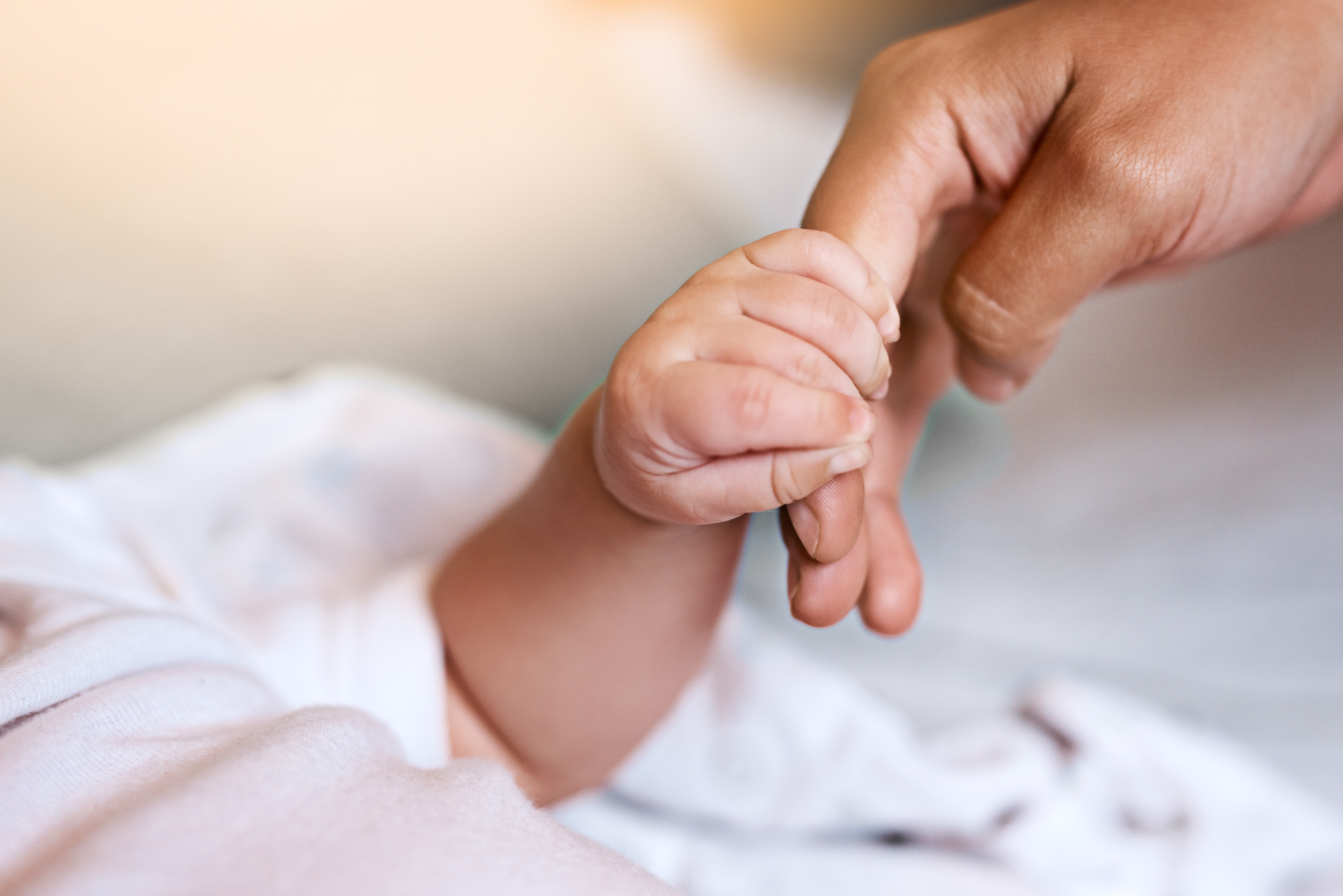 Babyhånd holder finger på voksen. Foto.
