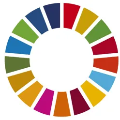 Solstrålediagram med 17 forskjellige farger som symboliserer FNs bærekraftsmål. Illustrasjon.