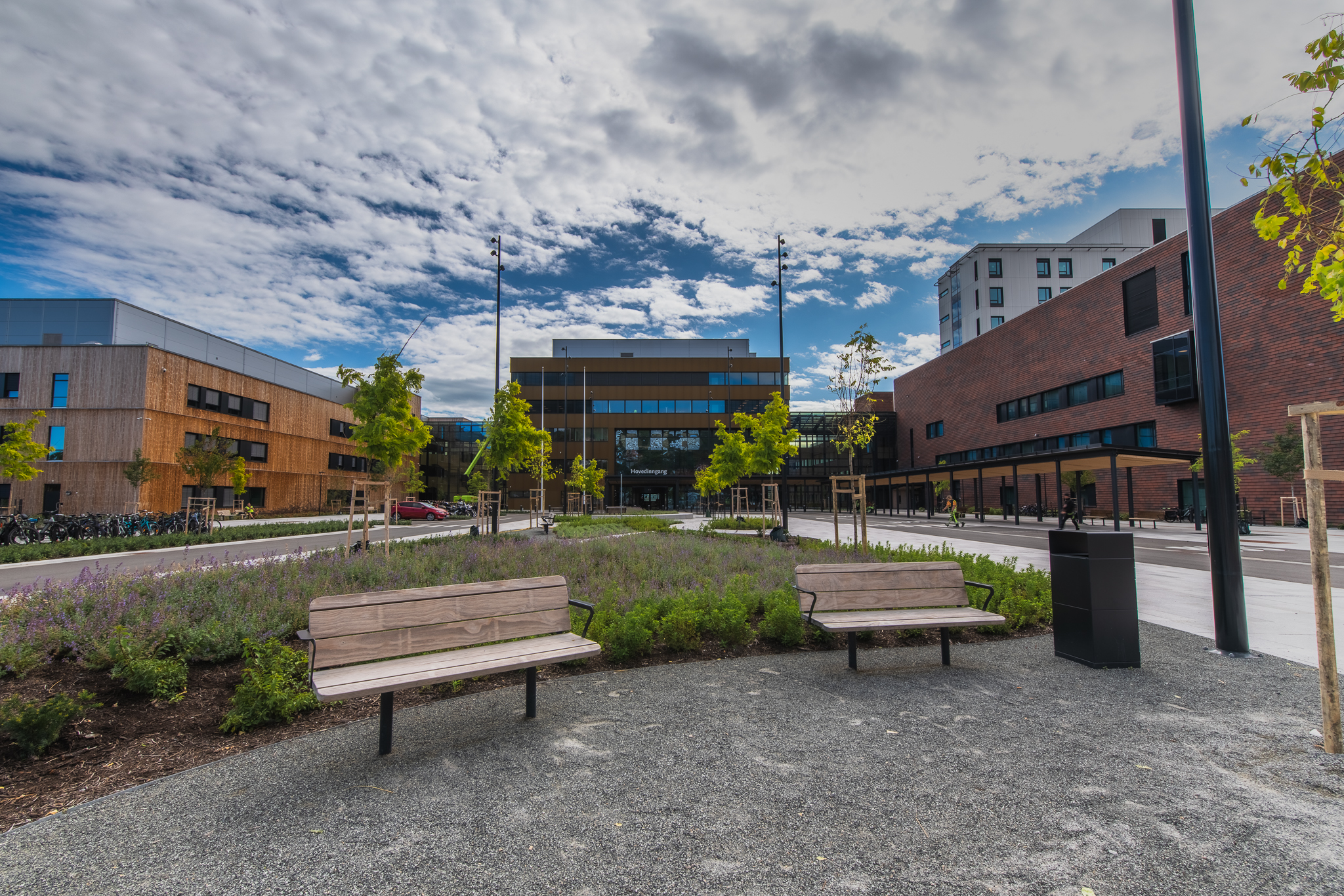 Benker i en park foran sykehusbygninger. Foto